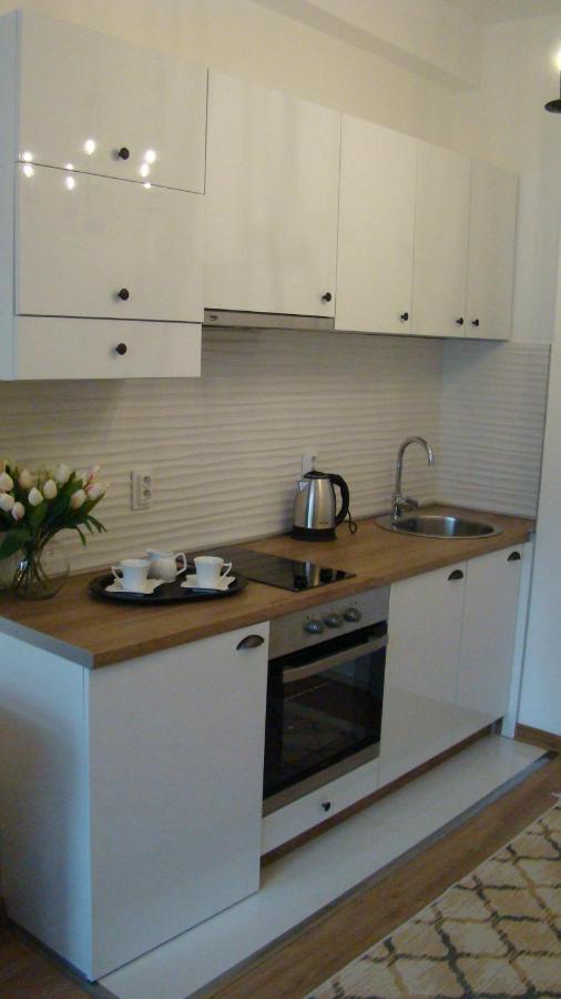 Gagovic Apartment Cetinje Ngoại thất bức ảnh